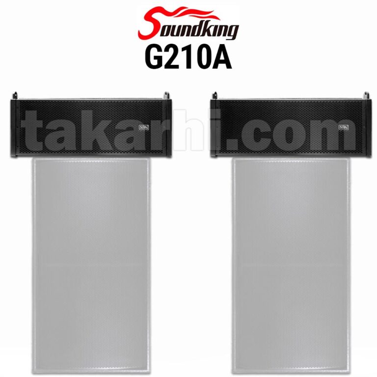 SOUNDKING G210A COMBO