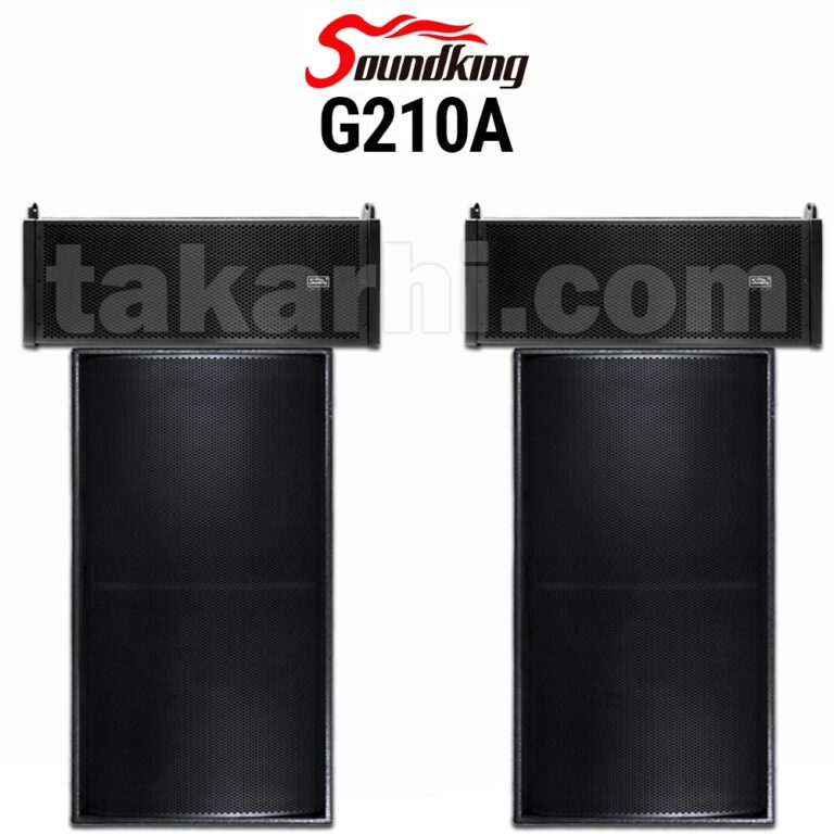 SOUNDKING G210A COMBO