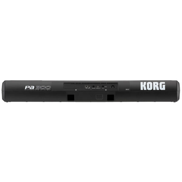 KORG PA300