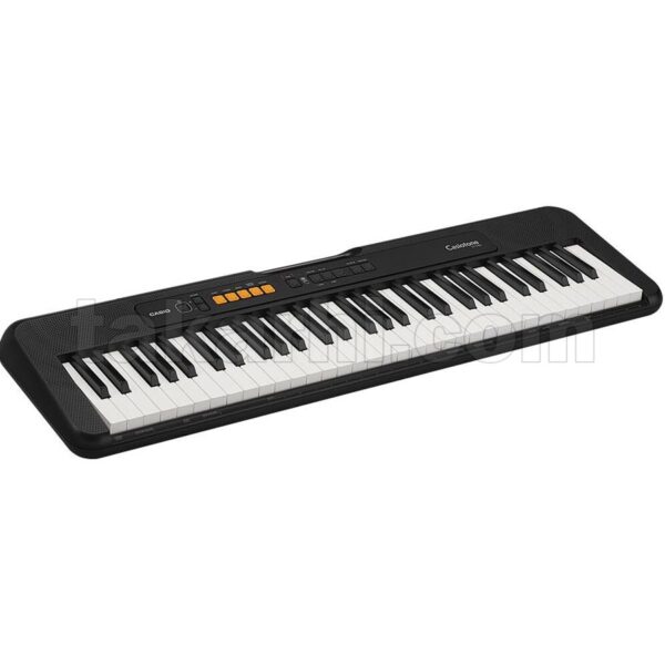 CASIO CT-S100C2