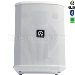 CUSTOM AUDIO SYSTEM M4TW